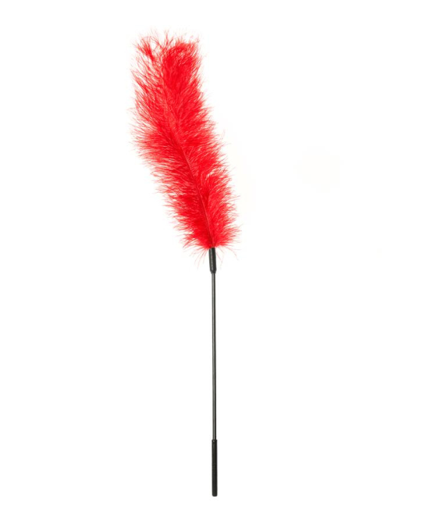 Ostrich Feather Body Tickler in Red